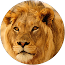 Asnake H. profile picture